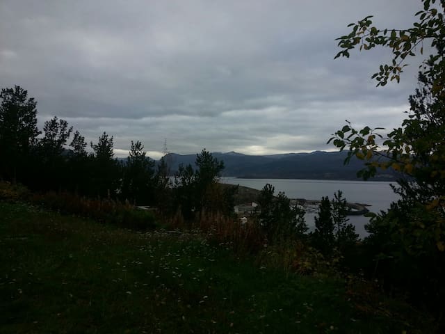Cozy room in house with great view!