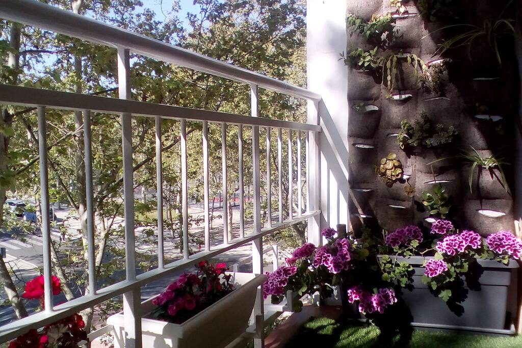 Jardín vertical en proyecto
