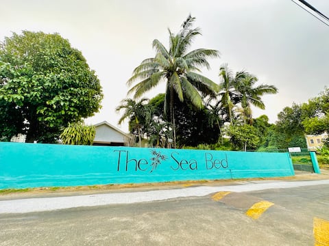 The Sea Bed Seychelles