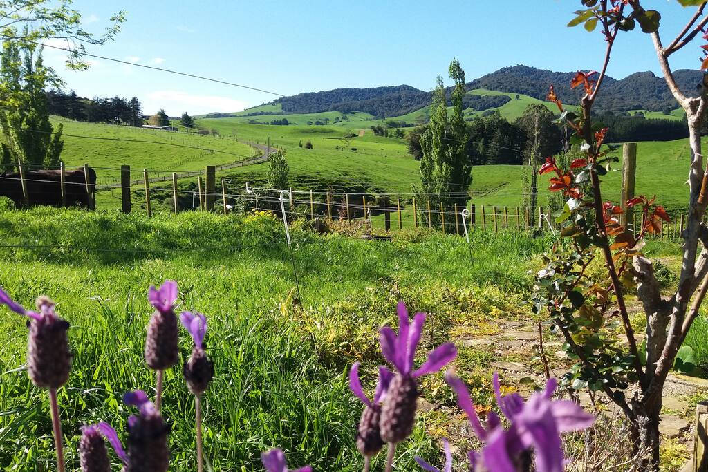view from Cottage path