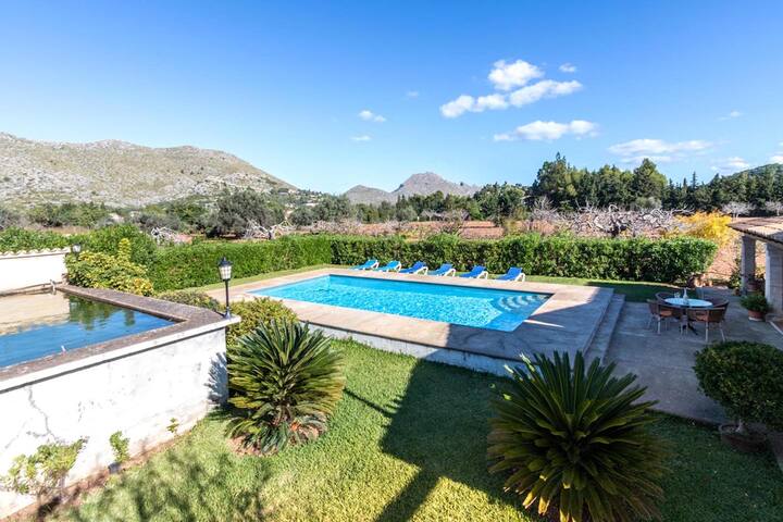 Fontxica gallery image 2