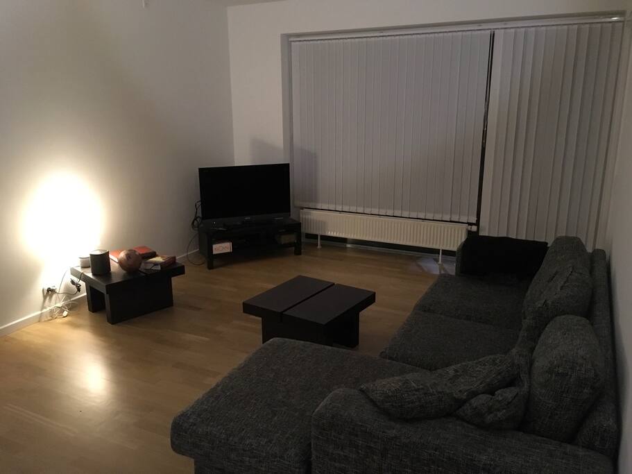 Stuen i lejligheden. TV'et og sofaen står også til afbenyttelse, dog ikke til en ekstra gæst // Livingroom in the appartment. The TV and the couch may also be used, however not for an extra guest.