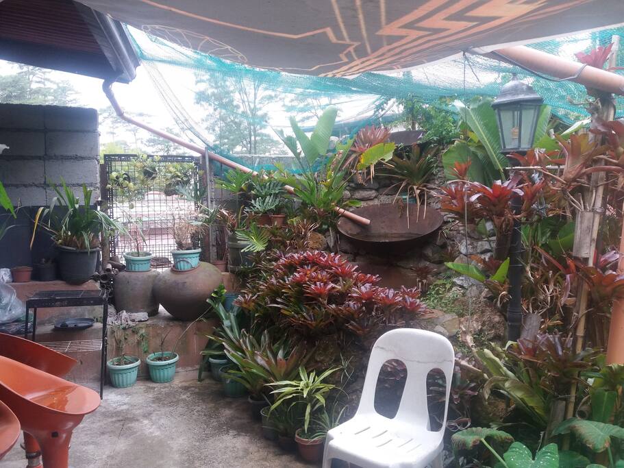 Garden and Grilling area