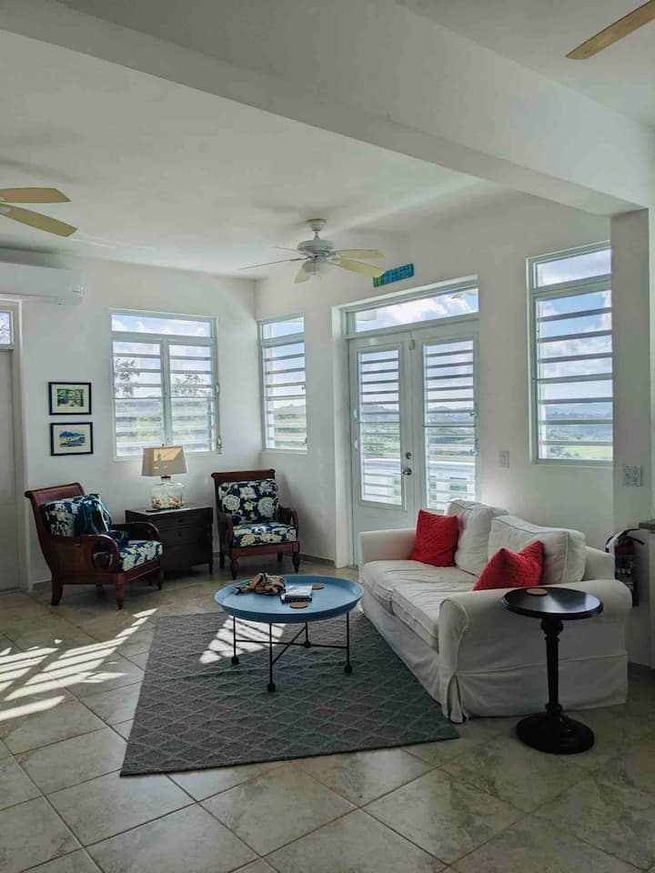 Sala de estar con sofá Pottery Barn y mobiliario de madera maciza, televisión con Roku y ventiladores.