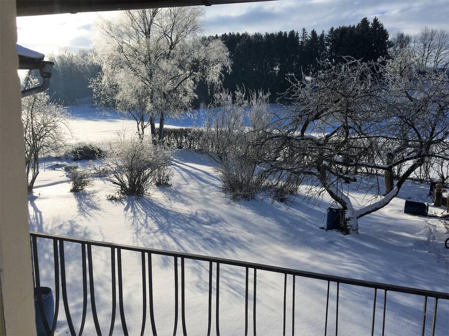 Garden view (from master bedroom in winter)