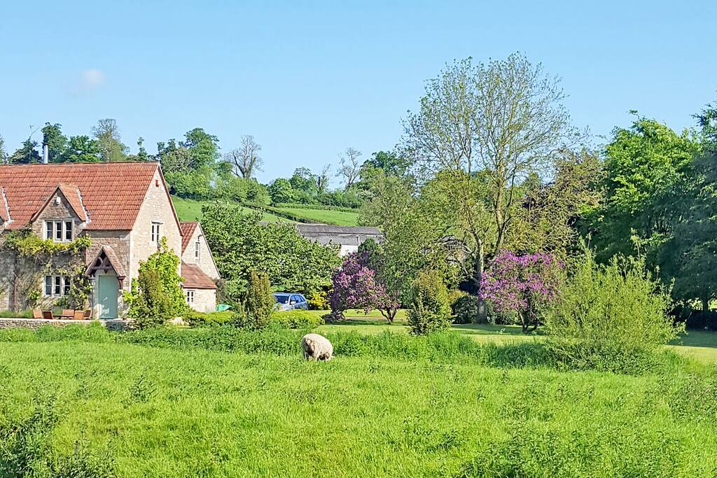 Grounds and gardens of nearly 3 acres
