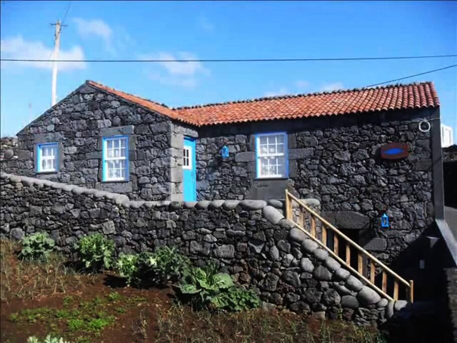 Nesta horta a sempre as cultivações da época.