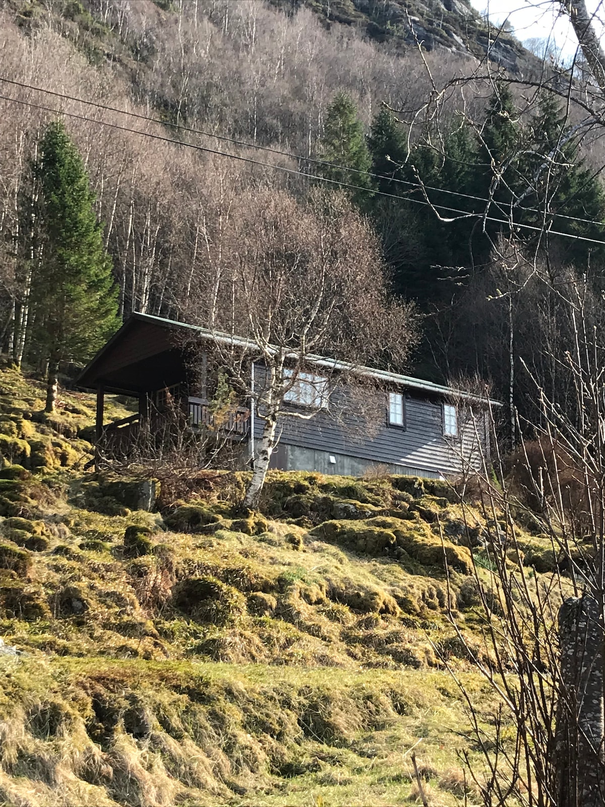 A rustic cabin is positioned among gently sloping hills, surrounded by sparse trees and undergrowth. The wooden exterior is complemented by large windows that reflect the natural landscape, providing a sense of integration with the serene environment.