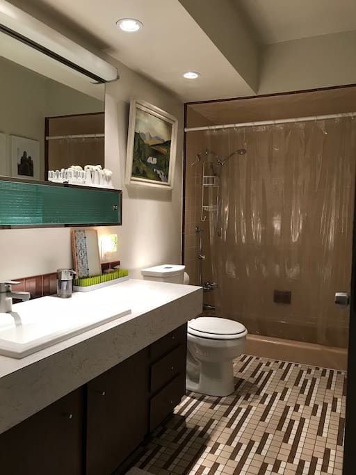 shared guest bathroom