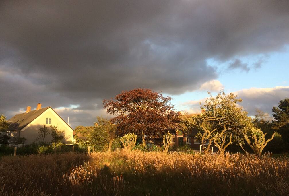 from the flat overlooking the field