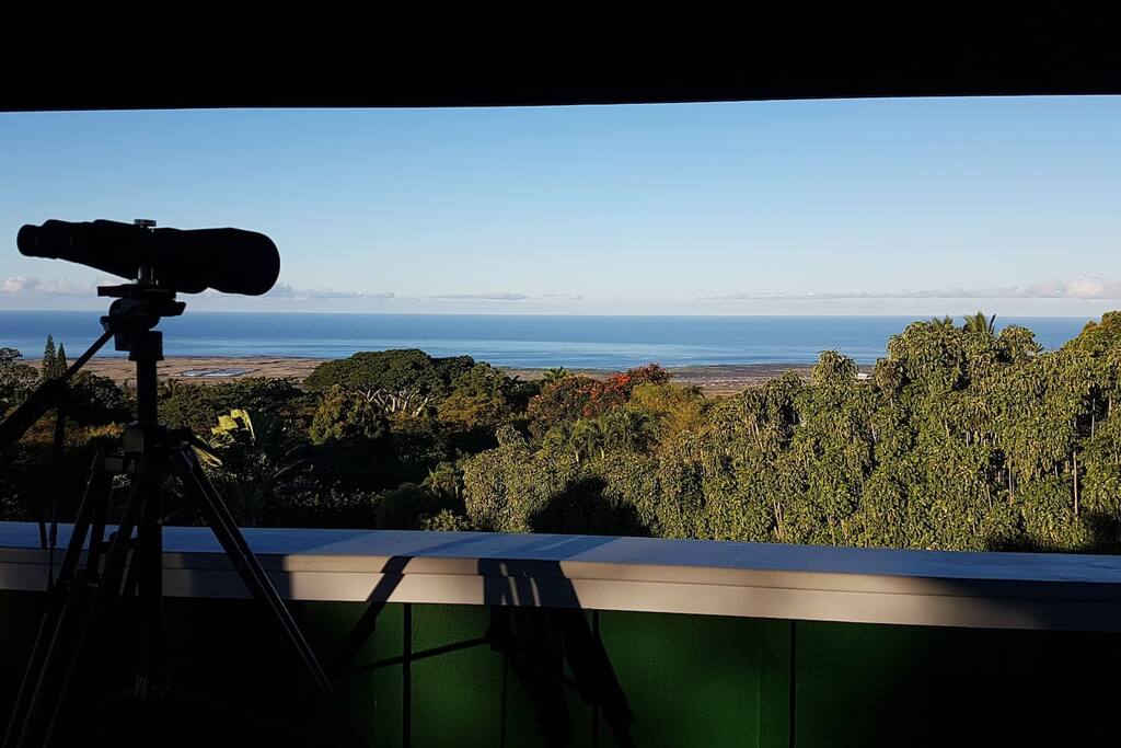 Ocean and Coast Line View