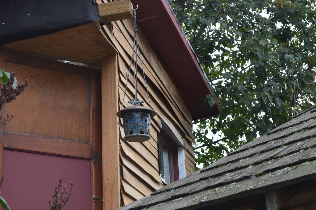 Door to Eco Treehouse