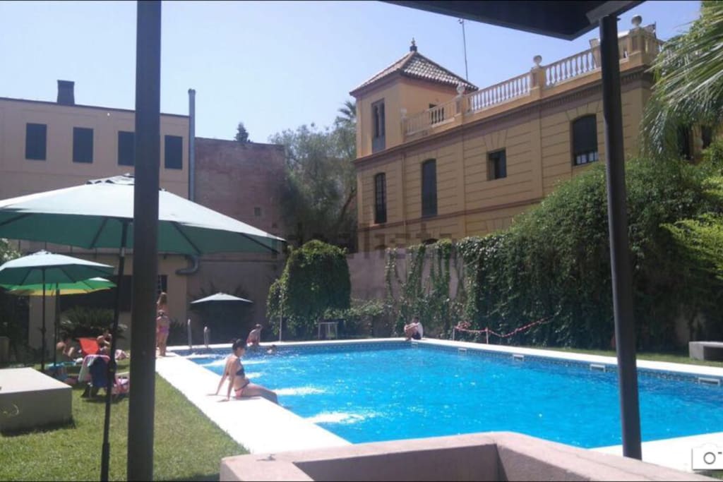 apartamentos en sevilla con piscina apartamento con piscina en el centro de sevilla apartamentos en sevilla con piscina apartamento con piscina en el centro de sevilla