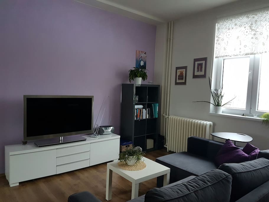 Living room with unfoldable sofa