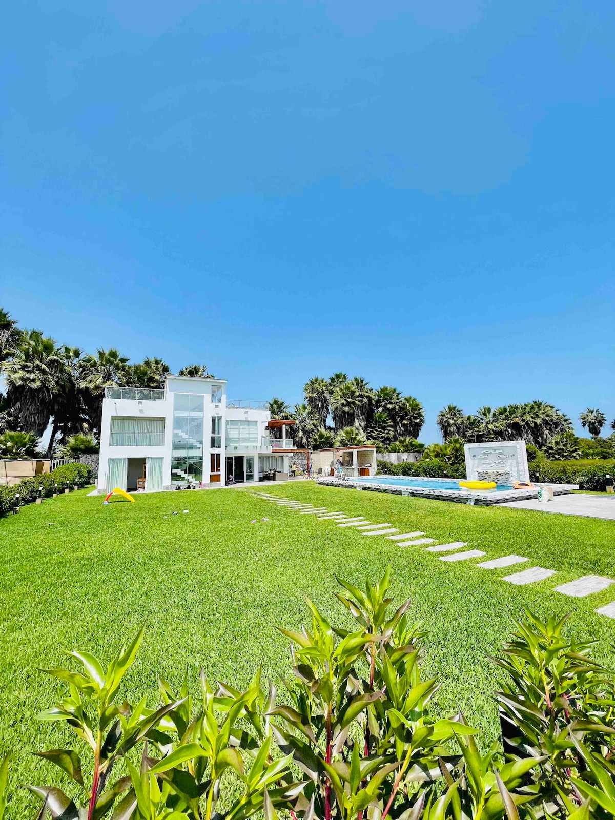 A modern house with large glass windows stands amidst lush green grass and carefully landscaped plants. The spacious outdoor area includes a swimming pool and palm trees, creating a serene and inviting atmosphere. The clear blue sky complements the tranquil environment.