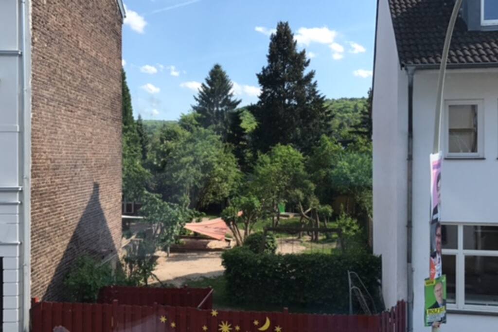 The beautiful view outside.