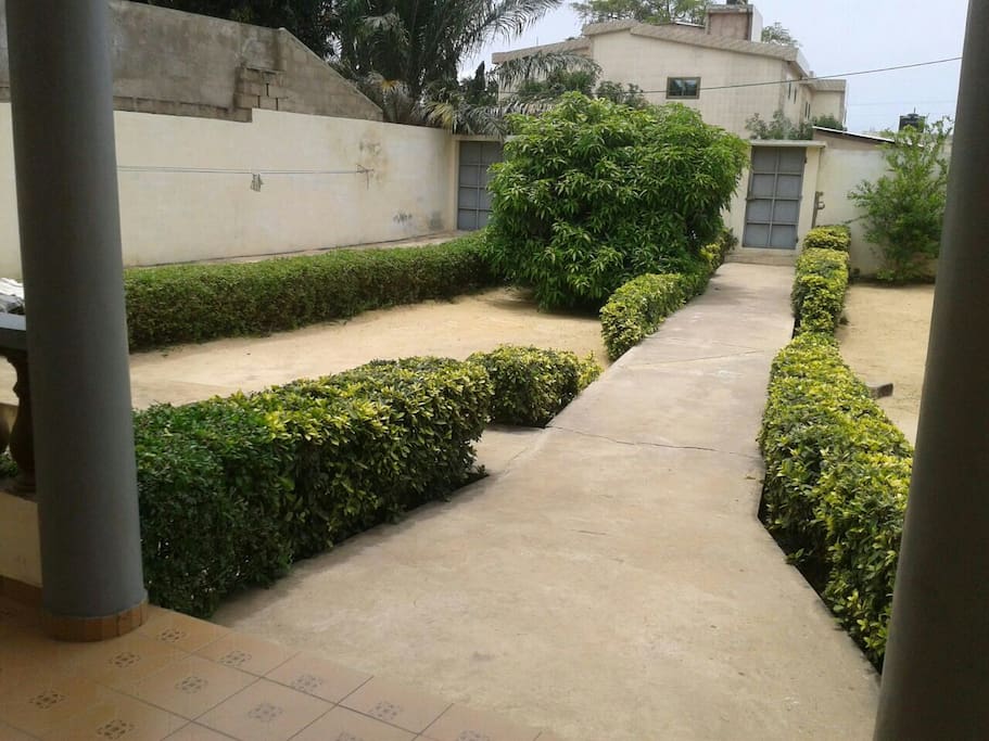 View of the garden