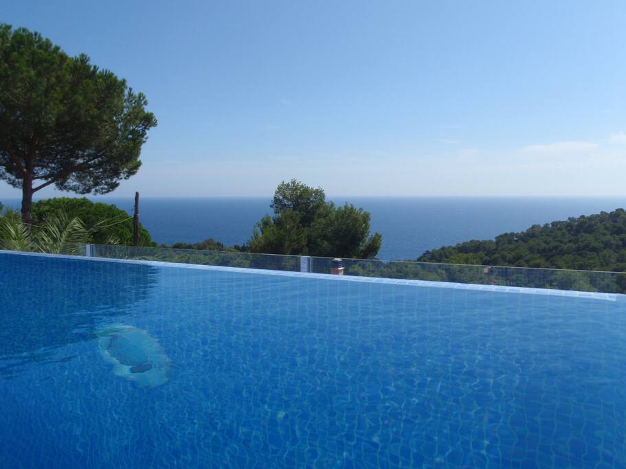Vista desde piscina