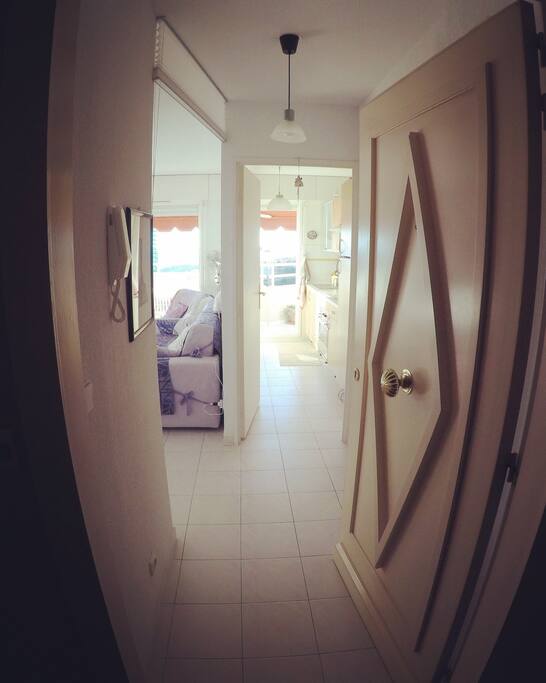 Ingresso