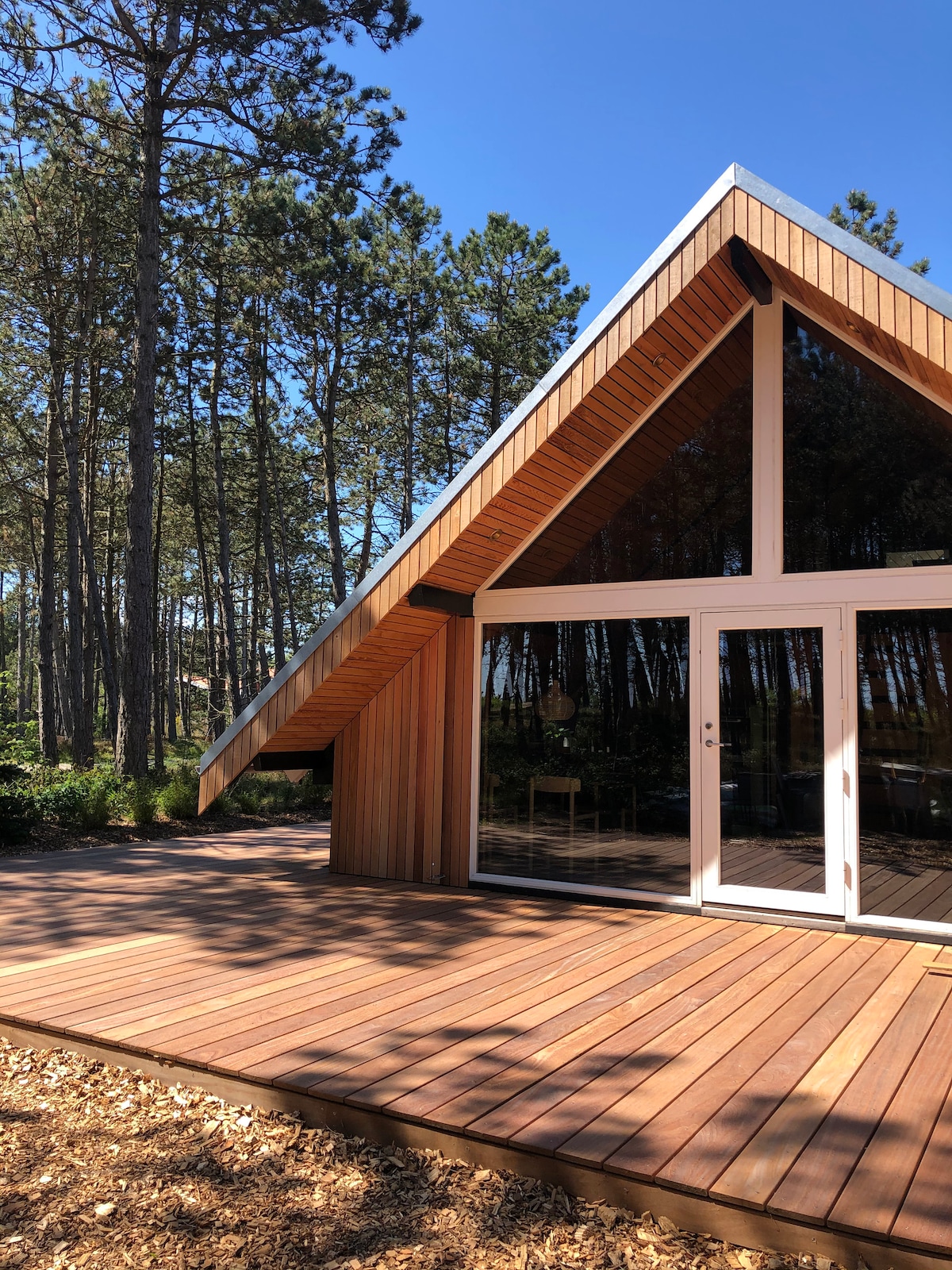 A modern, sloped-roof structure is featured, showcasing large glass doors that provide a view of the surrounding natural landscape. The wooden deck extends out, surrounded by trees, creating a serene outdoor space. Sunlight filters through the foliage above.