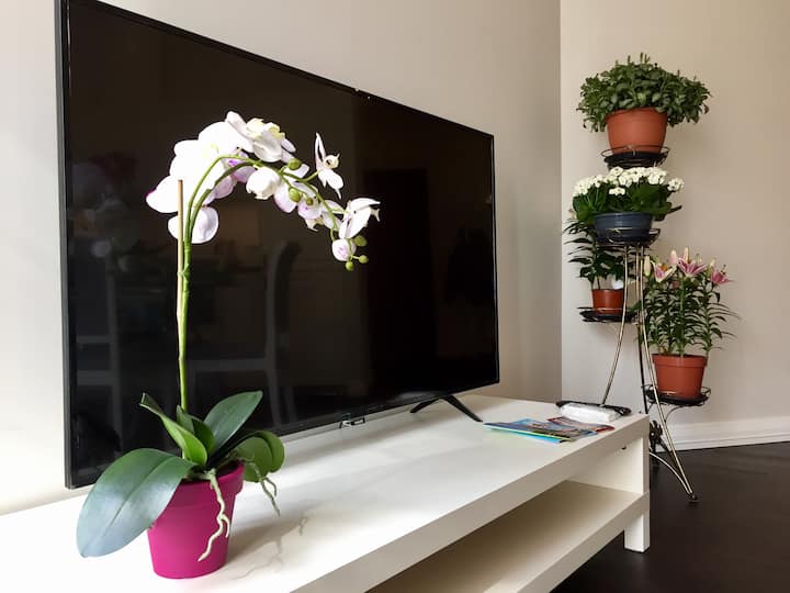 ทีวีขนาด 55 นิ้ว