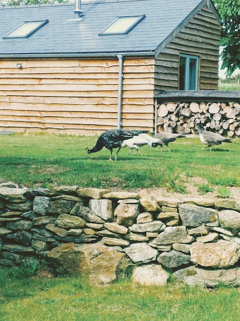 Coastal barn, sea view, woodburner, walk to beach