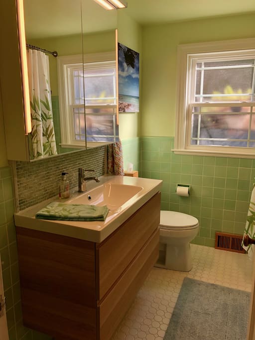 Full bath with shower and tub.
