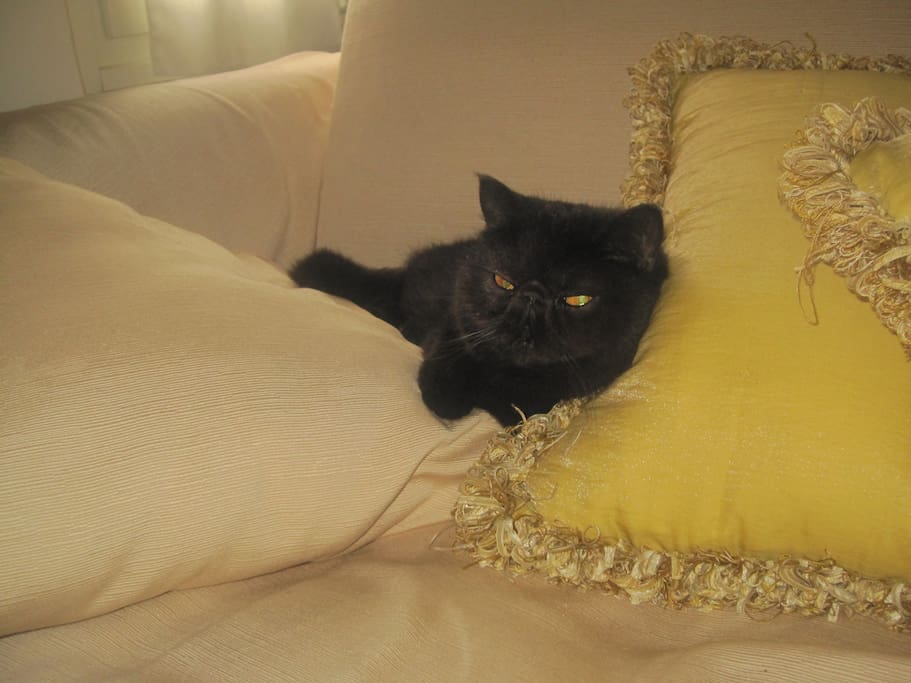 zona relax in compagnia di Chiampy