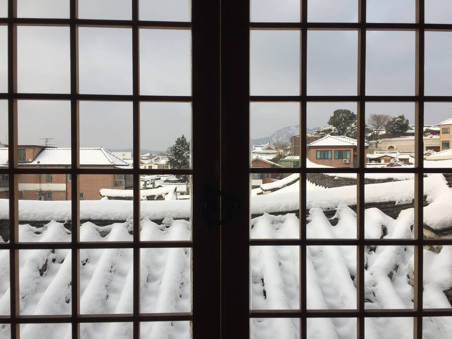 What you can see from the living room, if you're lucky.
