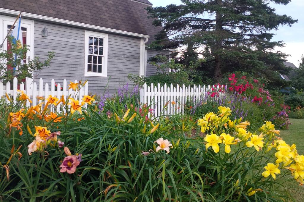 Summer garden at front of house