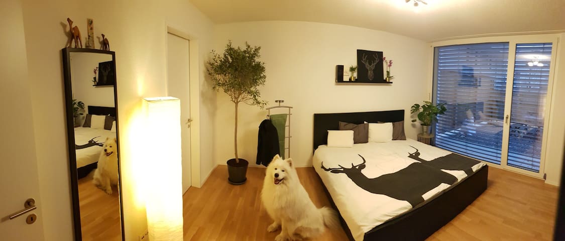 White Fluffy's Home - spacious and modern
