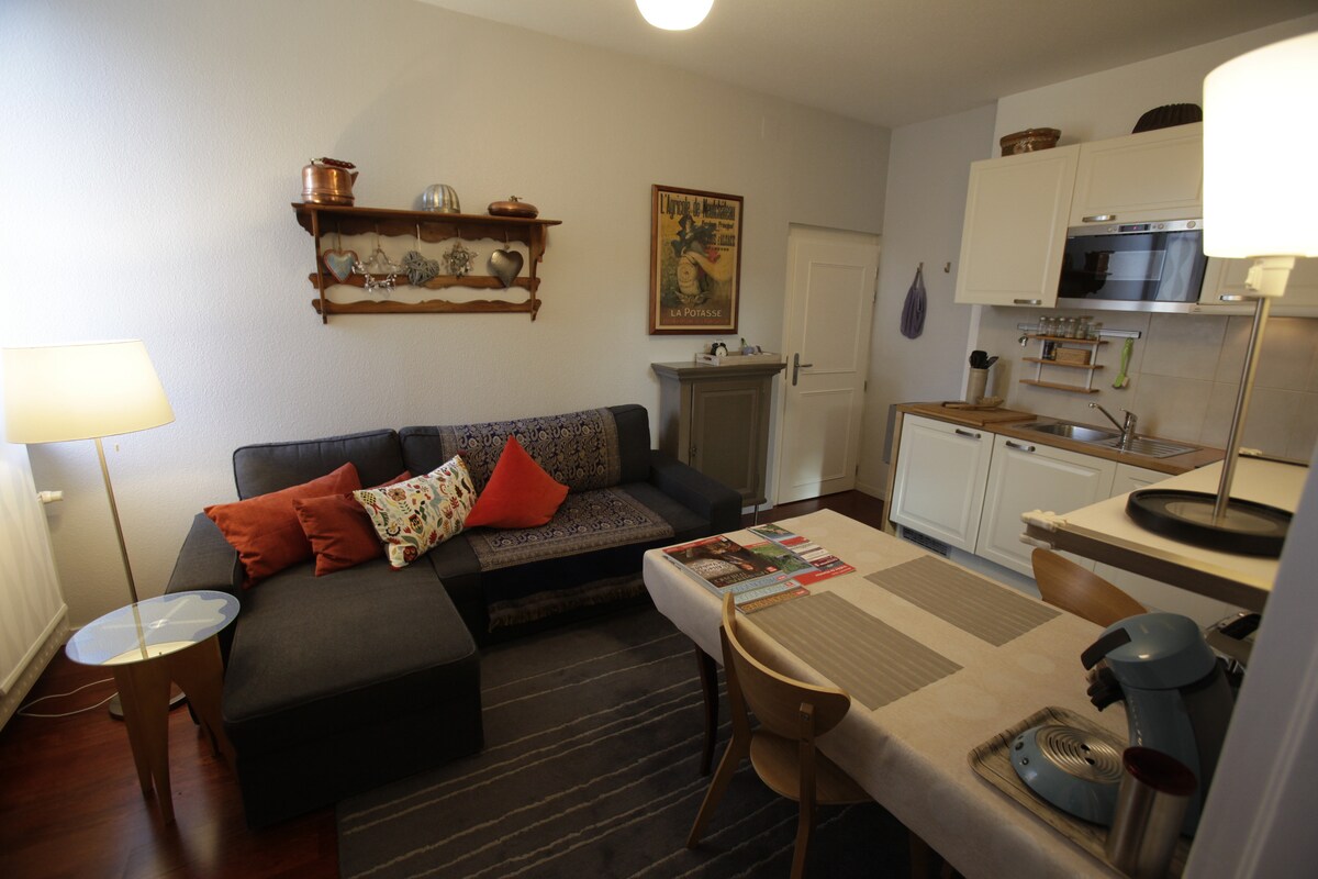 Popular Airbnb listing: The Mill Gite in Colmar