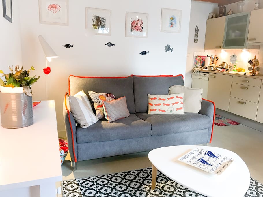 Le salon avec le canapé convertible (très confortable avec matelas de haute qualité)
