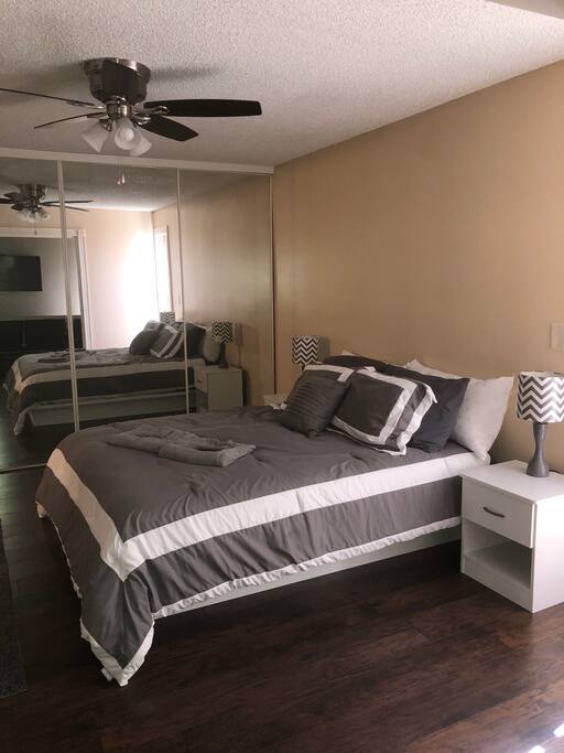 Spacious bedroom with huge mirror closet.