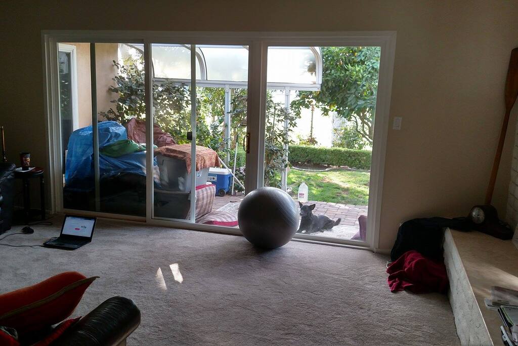The comfy living room. Dogs usually stay outside. Wi-Fi, Lazy Boy Couch and Yoga Ball.