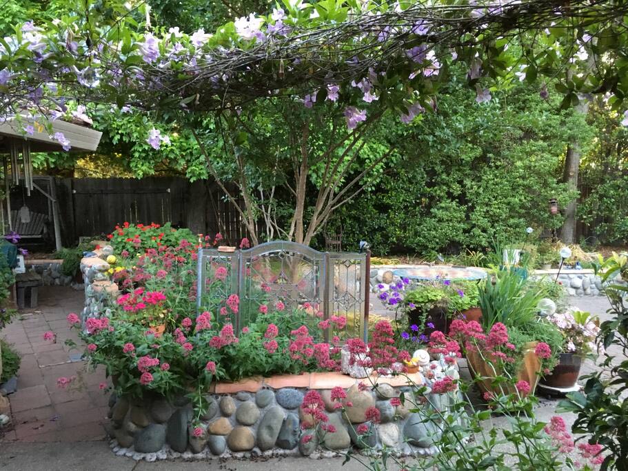 The view of the backyard when you come in the front door.