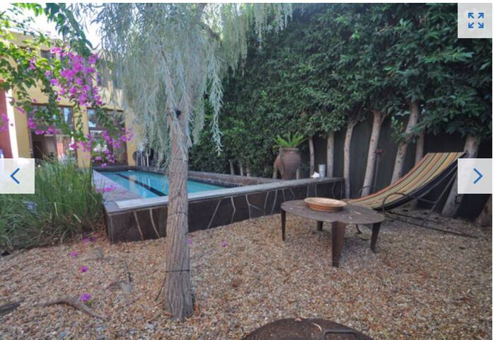 Architectural Venice Beach Showplace with Pool gallery image 4