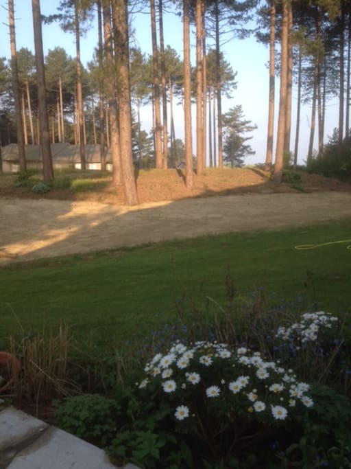 vue jardin avec terrain de volley et vue mer