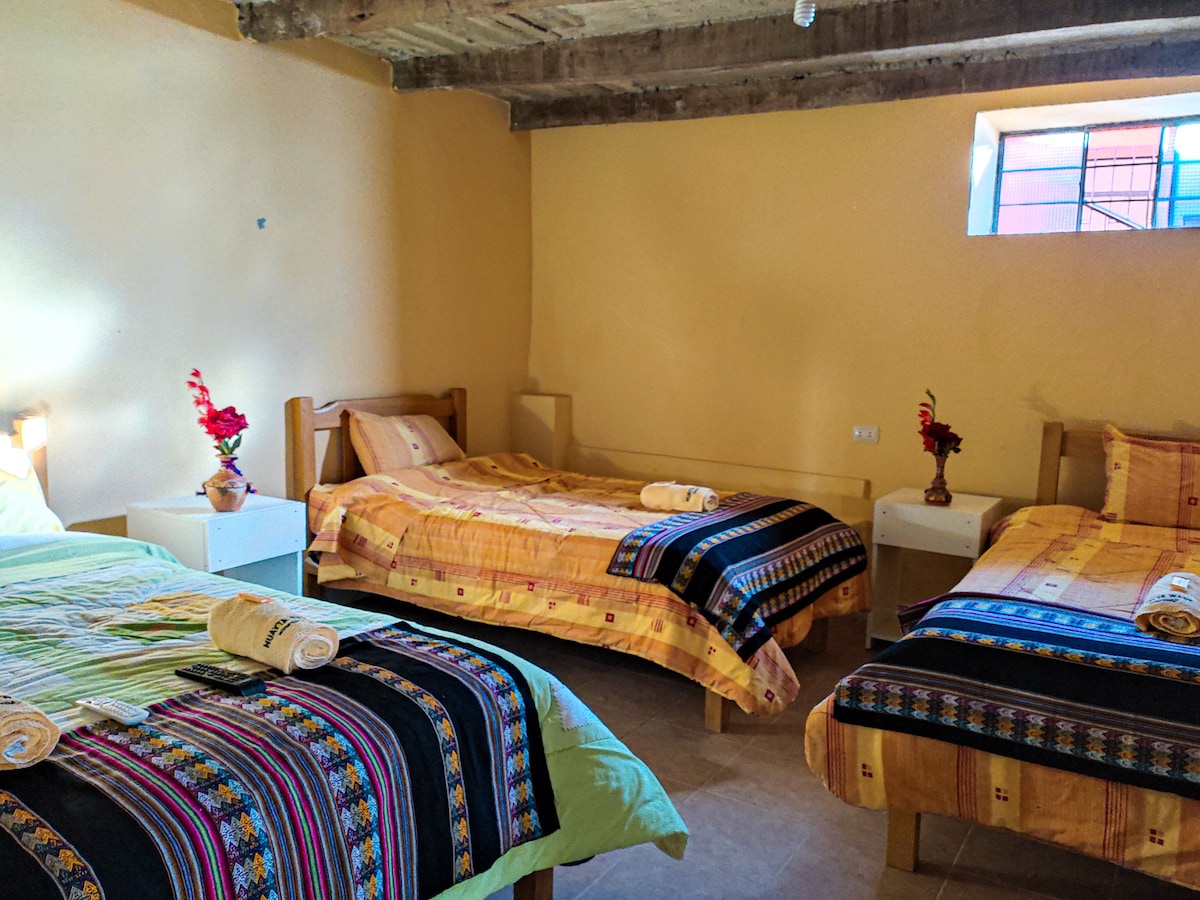 A triple room is presented with three medium-sized beds, each covered in colorful blankets. Nightstands with small lamps are positioned beside the beds. A window provides natural light and a decorative plant adds a touch of color to the space.