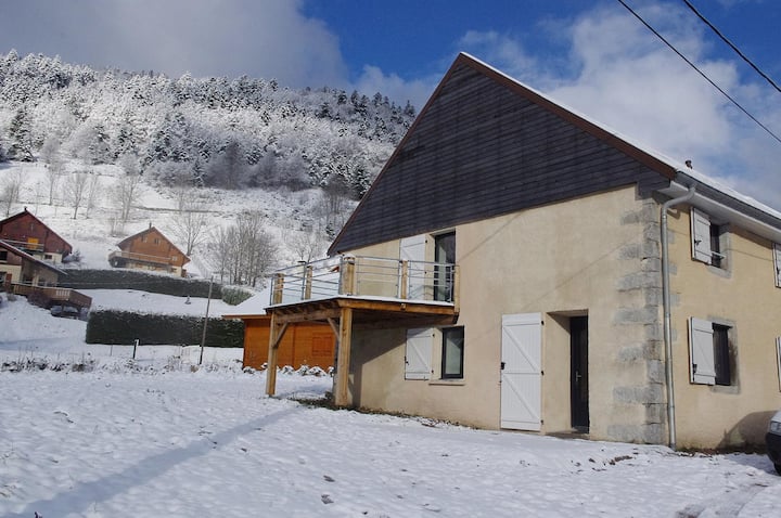 App. 3* 4p+1bb 60m2 Rez Rgt Ski, 2km Piste Honneck - La Bresse