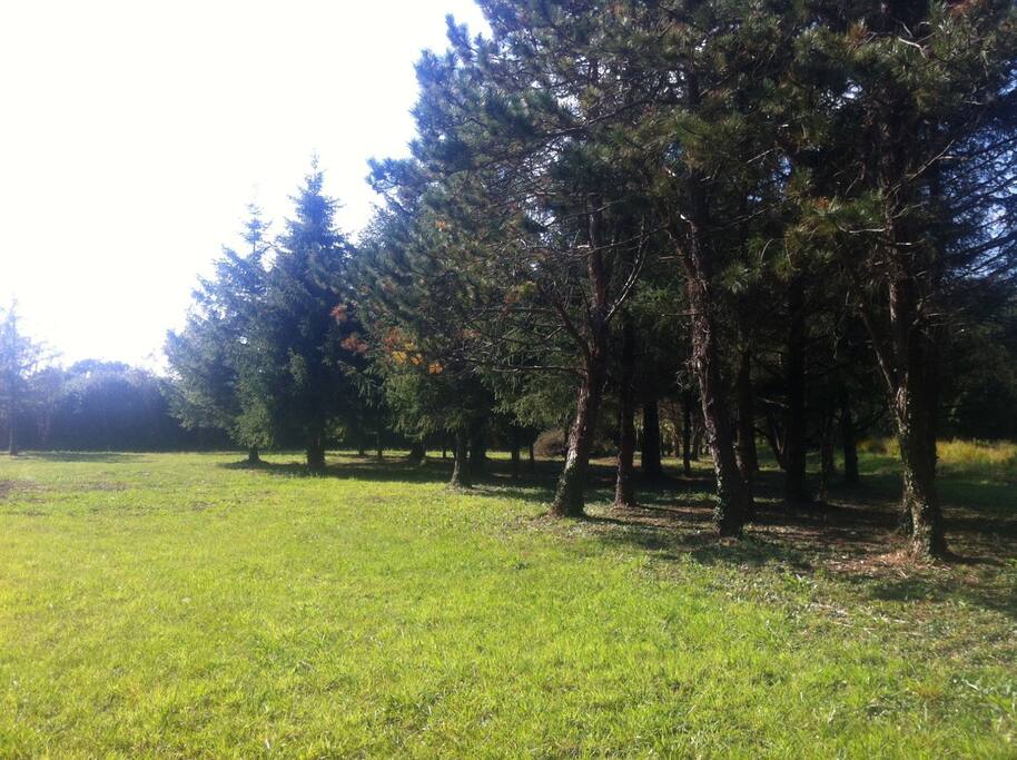 Le Parc hors les murs 1, accessible