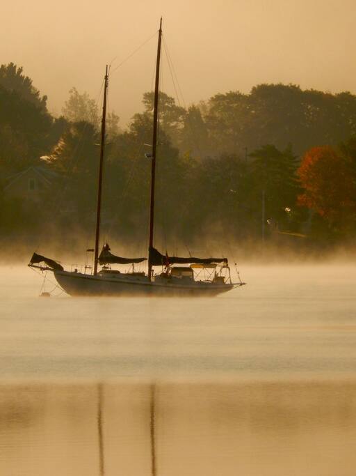 Tillicum in the fog