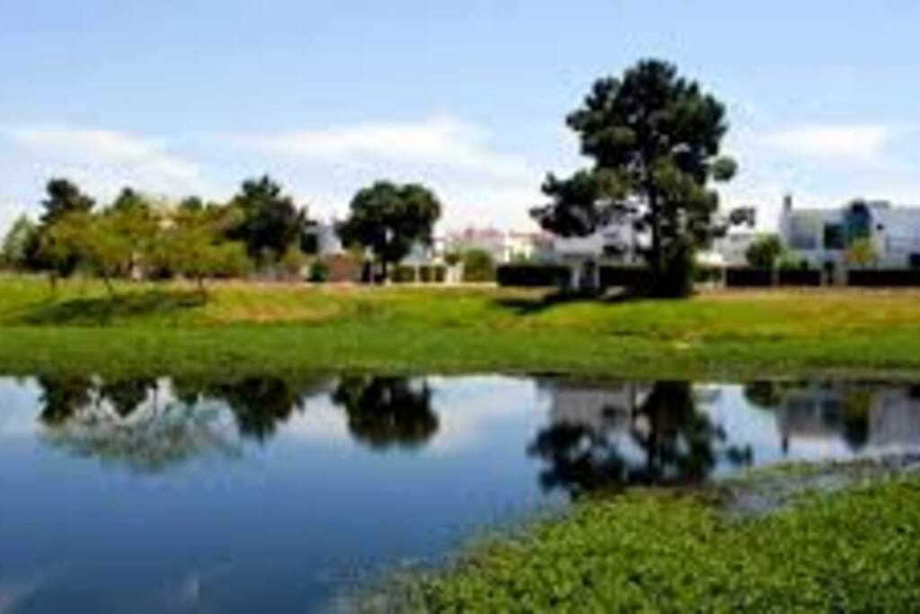 Golf and gardens