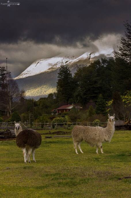 Vista Volcán Calbuco