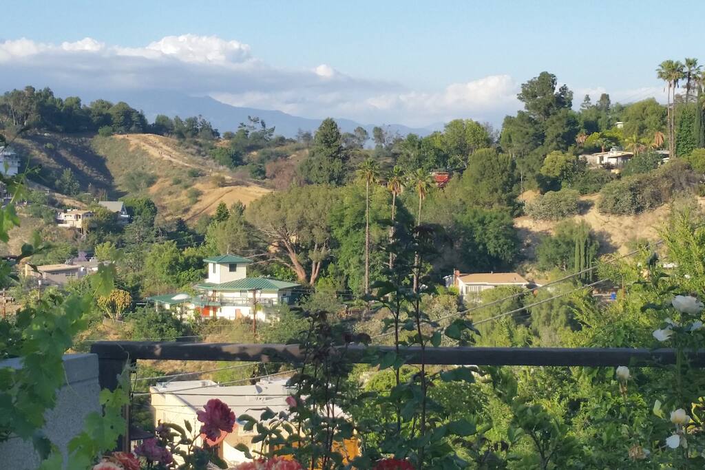 Enjoy these views all day