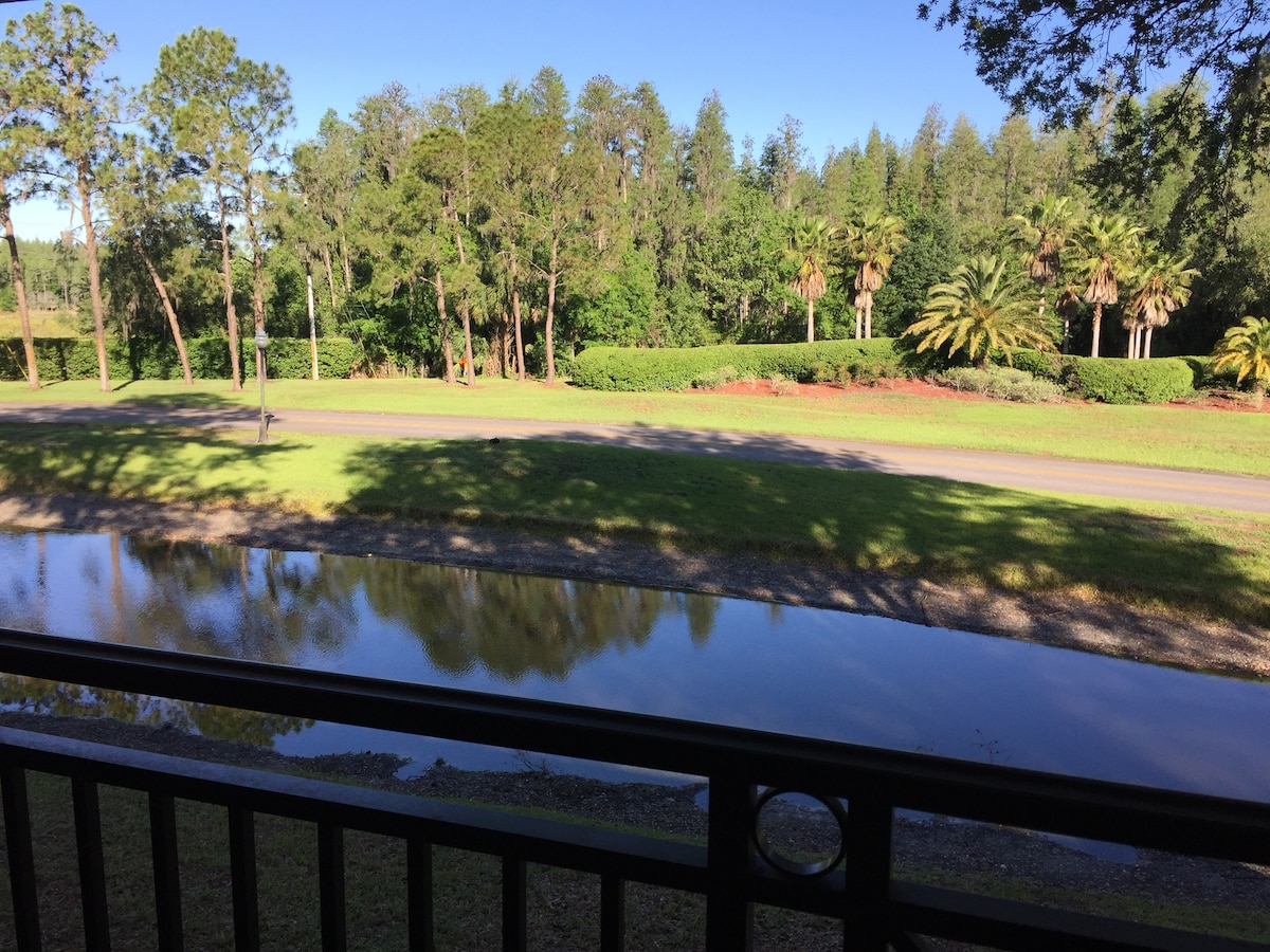 A peaceful view from the balcony shows a serene waterway reflecting the greenery surrounding it. Tall trees and lush palms line the banks, while a quiet road runs parallel to the water. Soft sunlight illuminates the landscape, enhancing the natural beauty.
