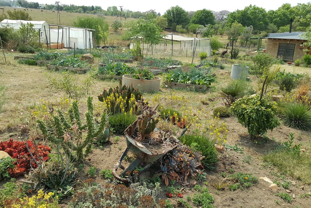 The cottage is surrounded by gardens.