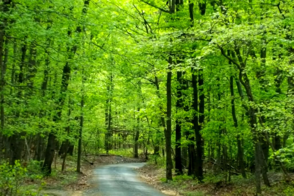 Travel up the gravel lane, through the woods...