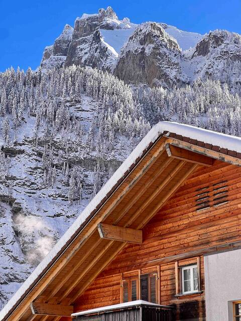 Alpine Chalet