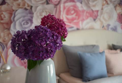 Top Airbnb: Apartment Rose in the heart of Sasbachwalden in Sasbachwalden